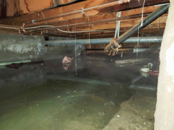 Best Sewage cleanup and water damage restoration  in Fairmont City, IL