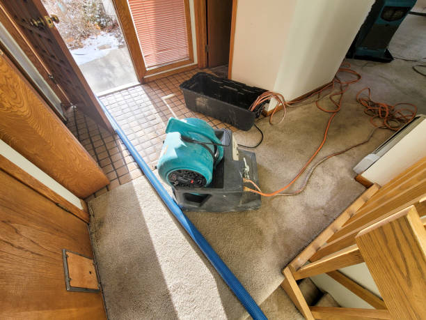 Best Water damage contractors near me  in Fairmont City, IL