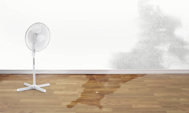 Best Water damage cleanup near me  in Fairmont City, IL
