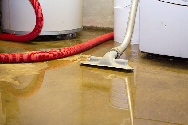 Best Residential water damage restoration  in Fairmont City, IL