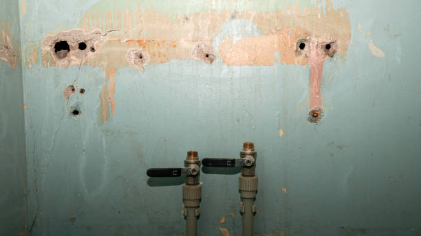 Best Fire Damage Restoration  in Fairmont City, IL