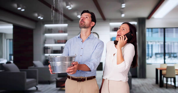 Best Mold removal after water damage  in Fairmont City, IL